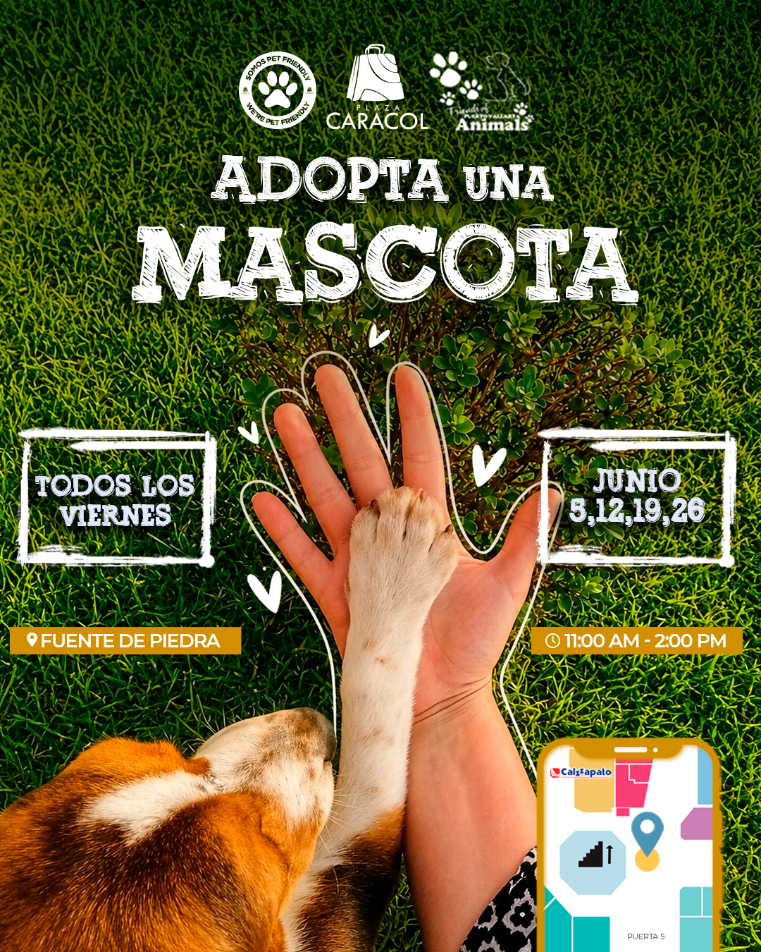 brochure image